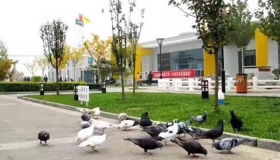 北京东方时尚驾校园区