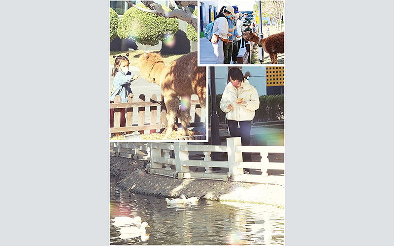 北京东方时尚驾校食堂